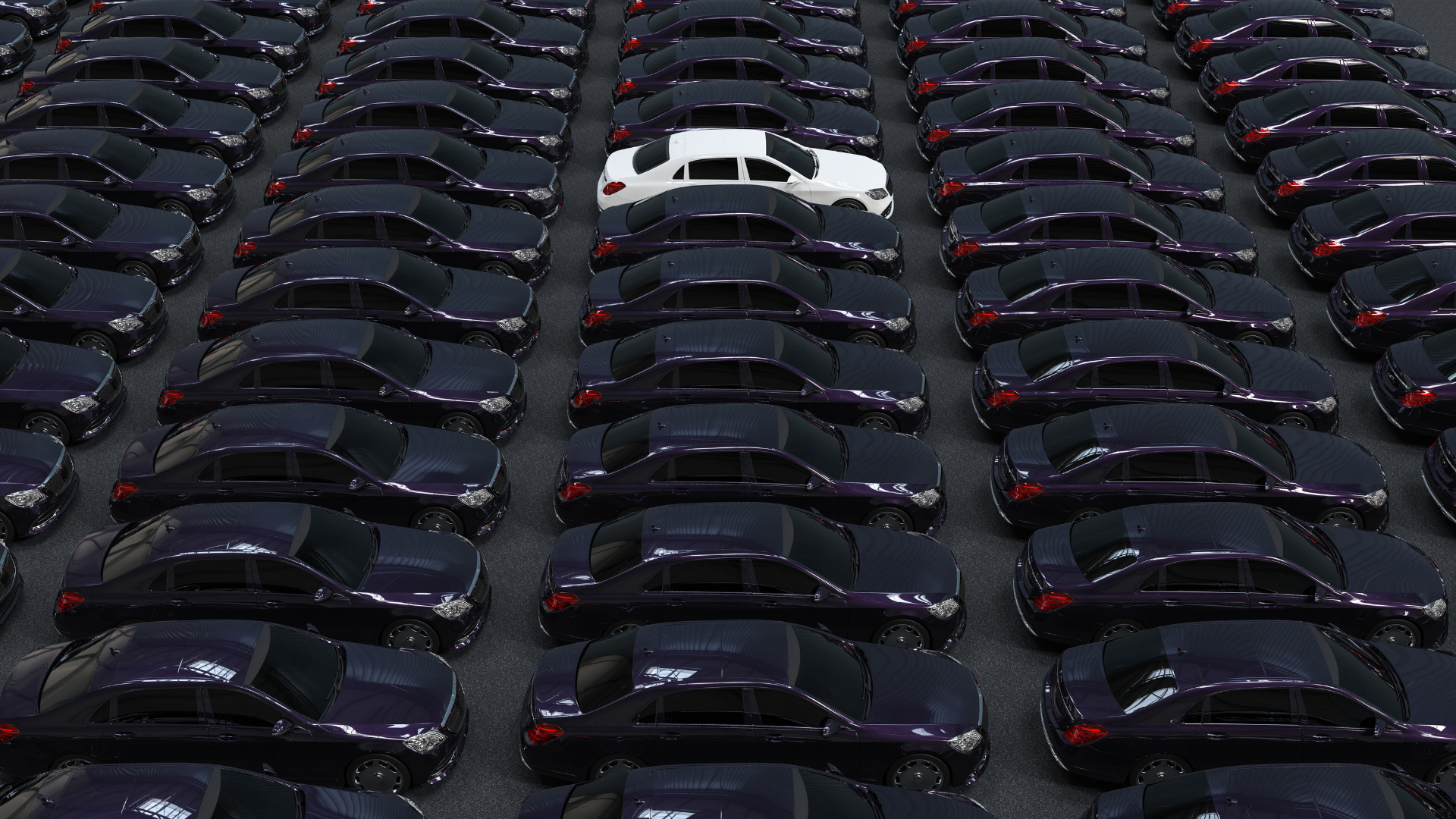 A fleet of black luxury vehicle with one white one in the center. 