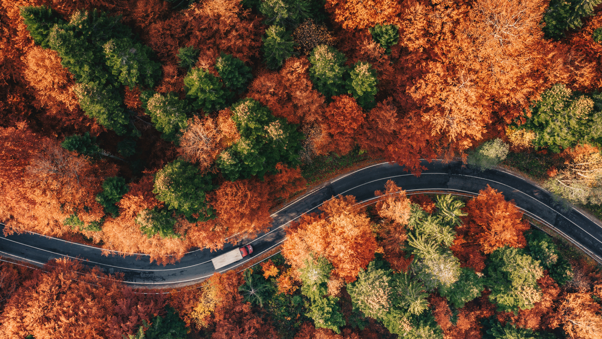 A truck and trailer driving on a winding road through trees in fall. 