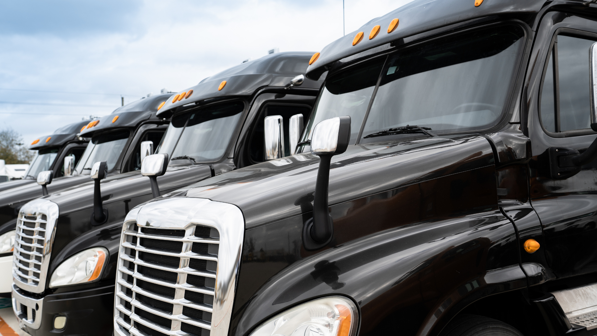 A row of shiny new, black semi trucks. 